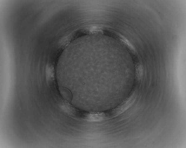 X0000111520571200907211226