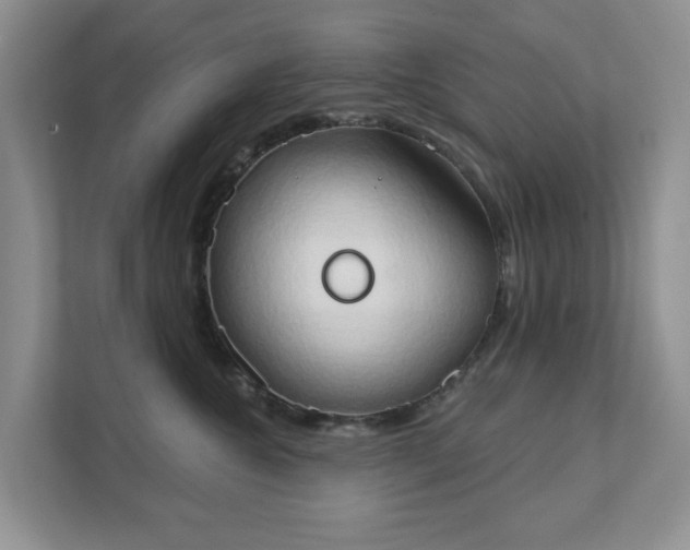 X0000111520572200907211226