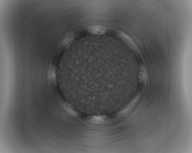 X0000111520573200907211226