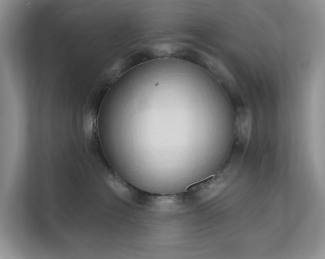 X0000111520574200907211226