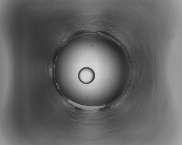 X0000111520576200907211226