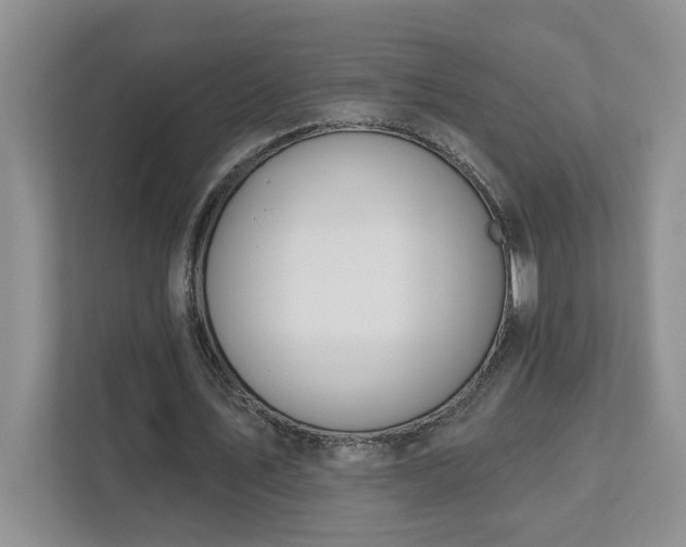X0000111520579200907211226
