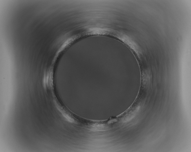 X0000111520581200907211226