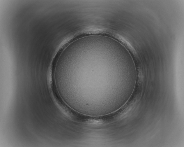 X0000111520582200907211226