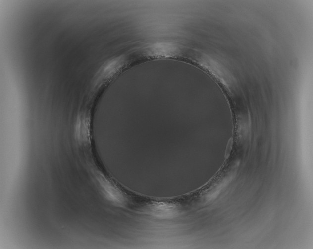 X0000111520585200907211226