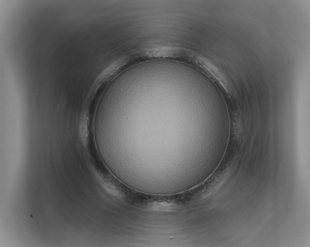 X0000111520586200907211226