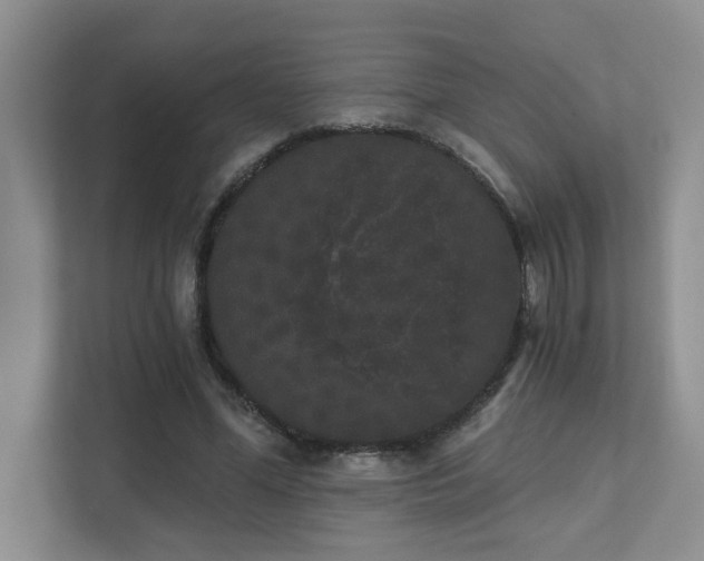 X0000111520588200907211226