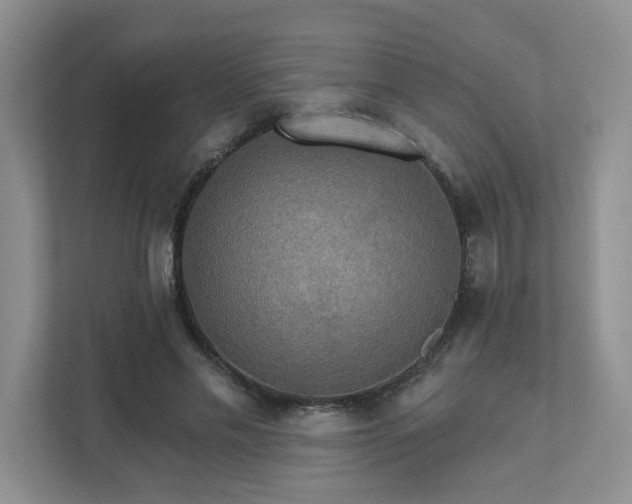 X0000111520589200907211226