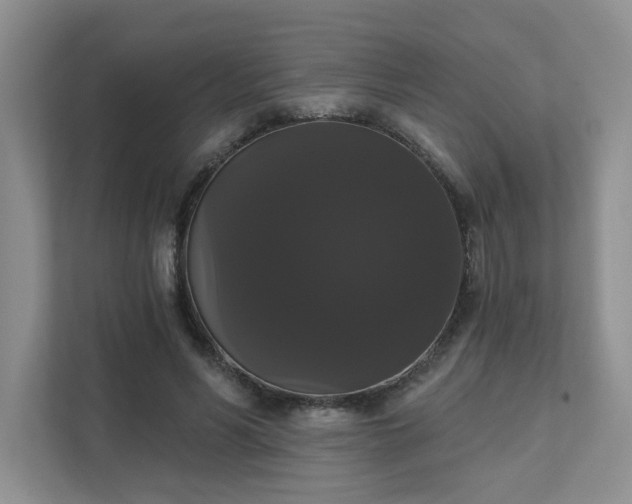 X0000111520590200907211226