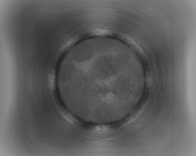 X0000111520591200907211226