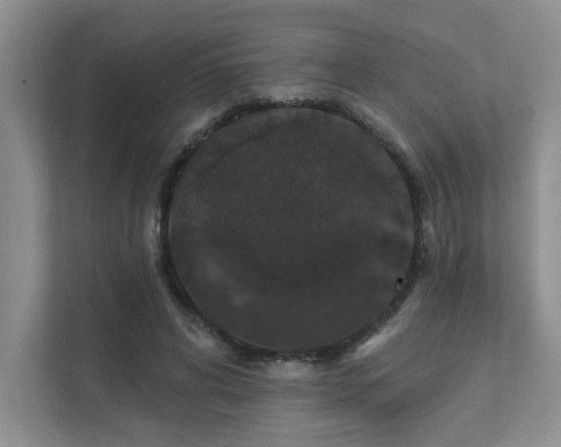 X0000111520592200907211226