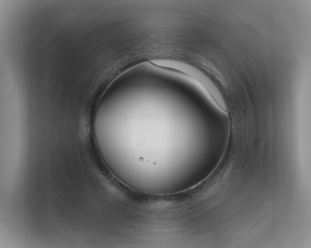 X0000111520593200907211226