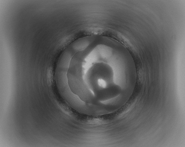 X0000111520594200907211226