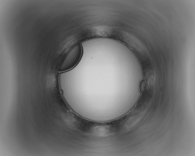X0000111520595200907211226