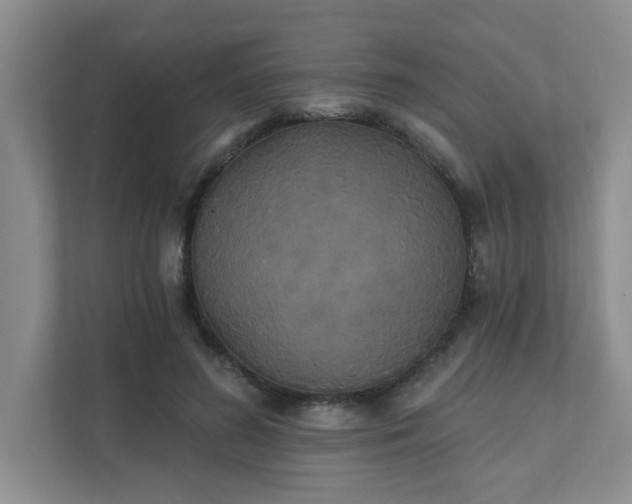 X0000111520596200907211226