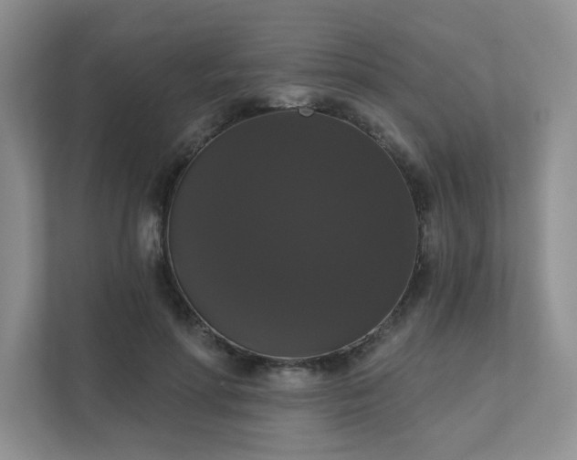 X0000111520598200907211226