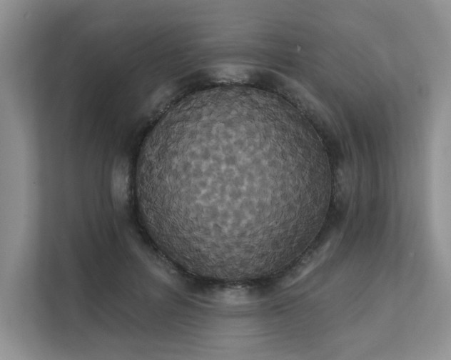 X0000111520600200907211226