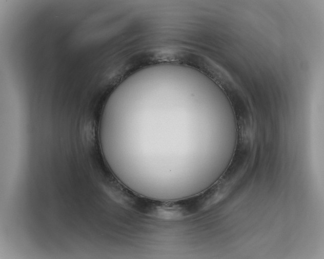 X0000111520603200907211225