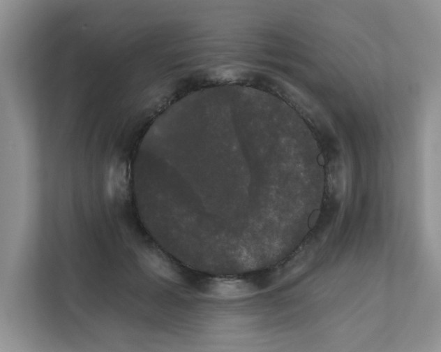 X0000111520605200907211225