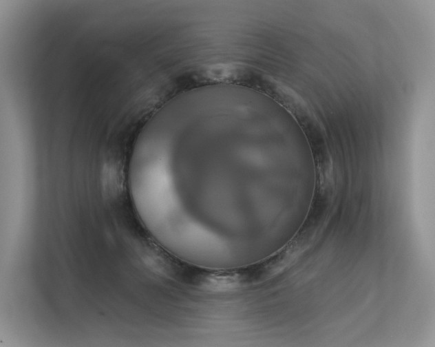 X0000111520606200907211225