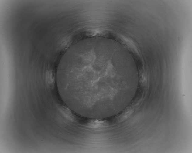 X0000111520607200907211225