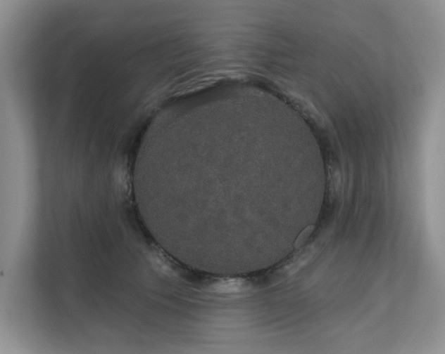 X0000111520609200907211225