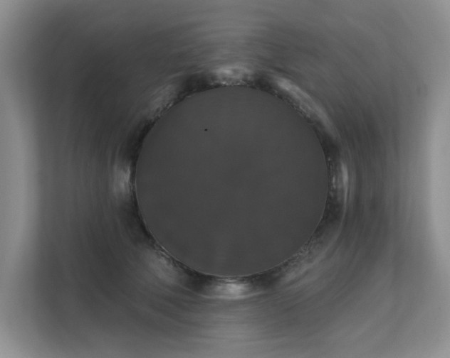 X0000111520610200907211225