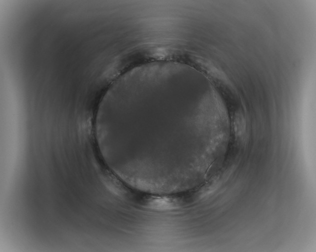 X0000111520611200907211225