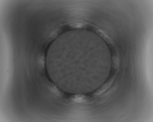 X0000111520612200907211225