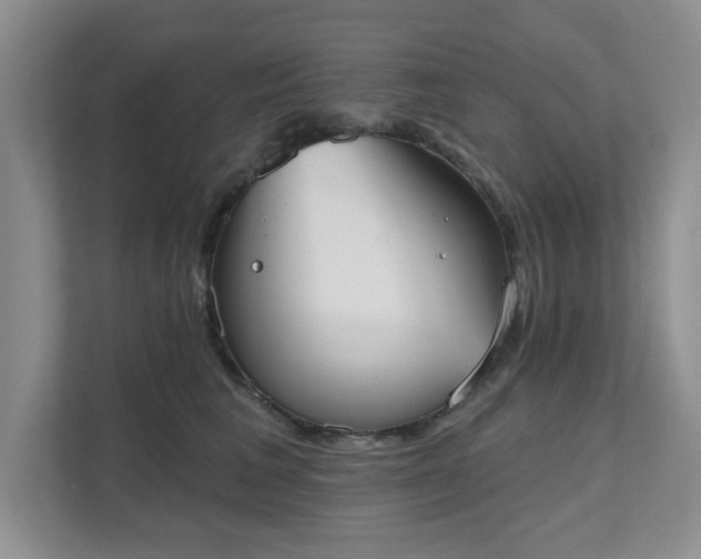 X0000111520613200907211225