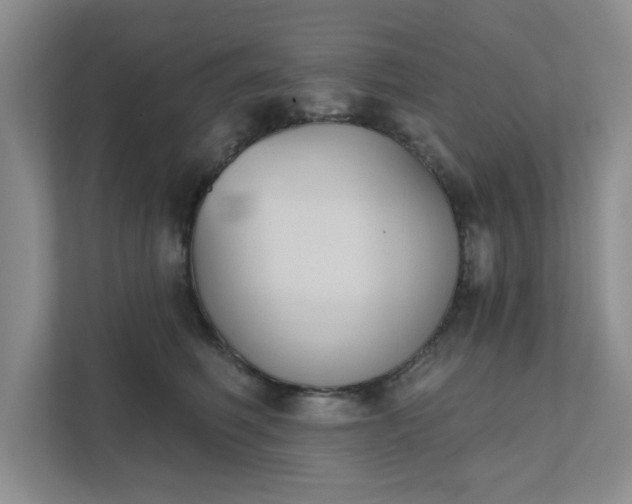 X0000111520614200907211225
