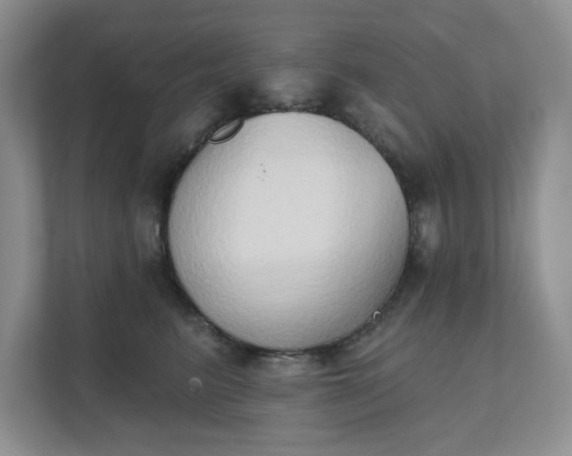X0000111520615200907211225