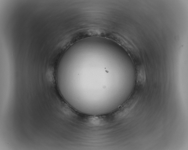 X0000111520616200907211225