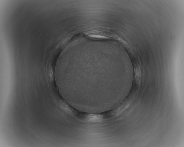 X0000111520617200907211225