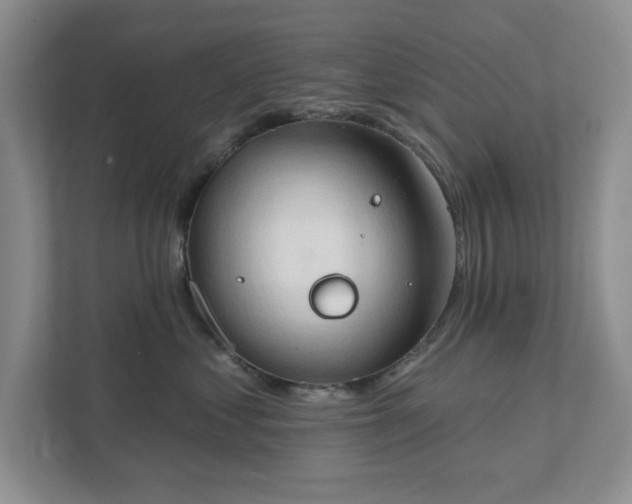 X0000111520621200907211225