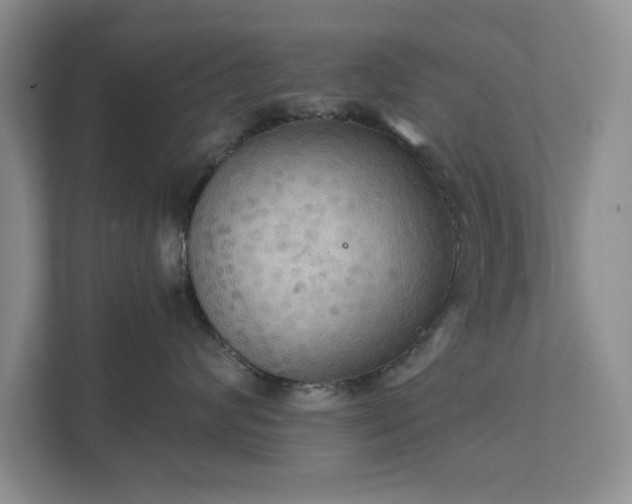 X0000111520624200907211225