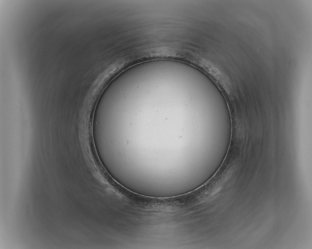 X0000111520625200907211225