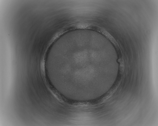 X0000111520626200907211225