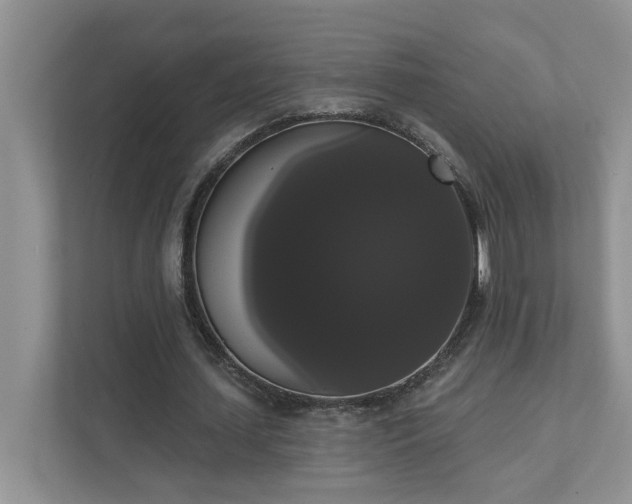 X0000111520627200907211225