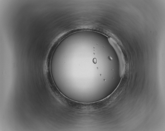 X0000111520628200907211225