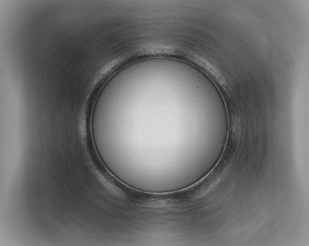 X0000111520629200907211225