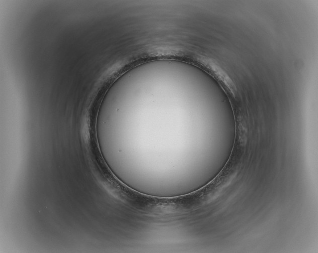X0000111520631200907211225