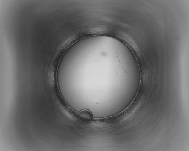 X0000111520633200907211225