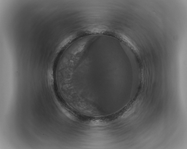 X0000111520634200907211225
