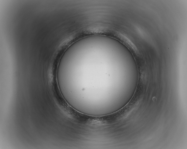 X0000111520635200907211225