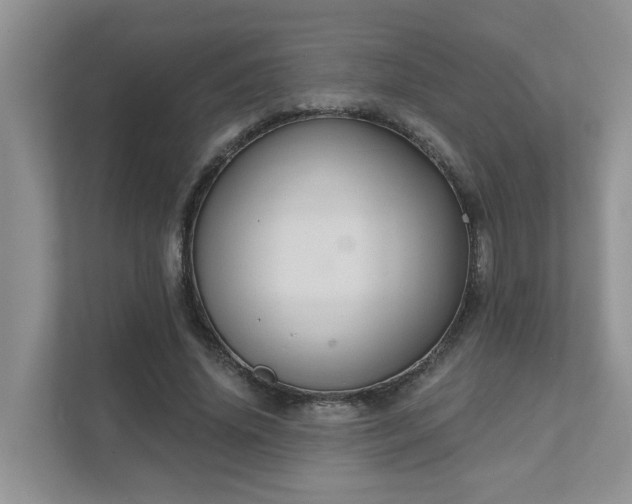 X0000111520636200907211225