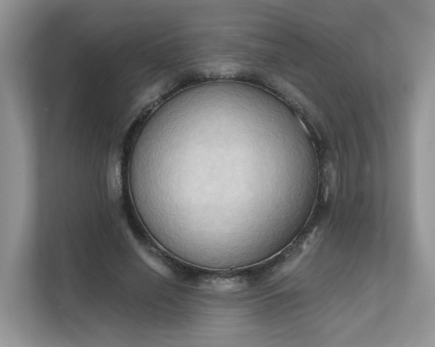X0000111520638200907211225