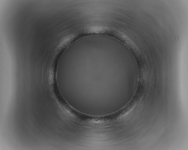 X0000111520640200907211225
