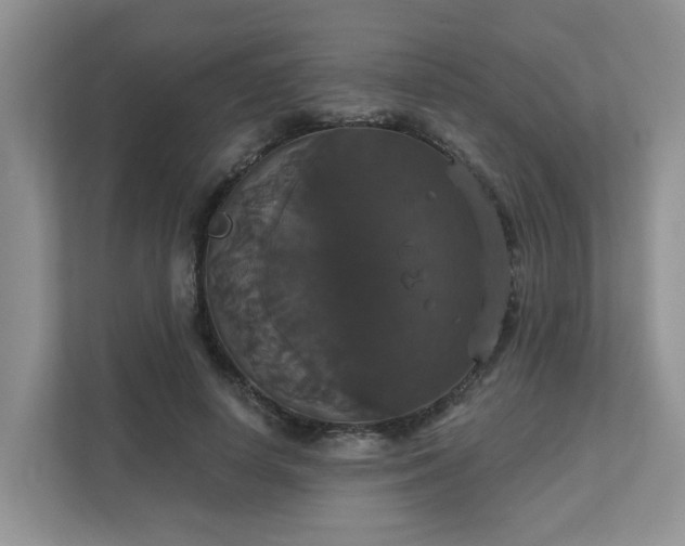 X0000111520642200907211225