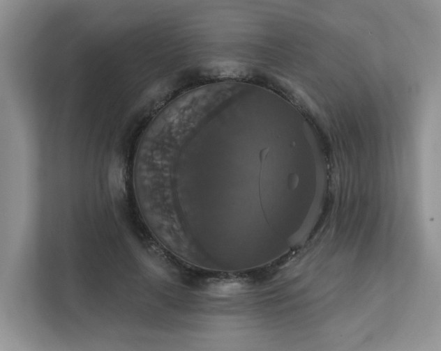 X0000111520643200907211225